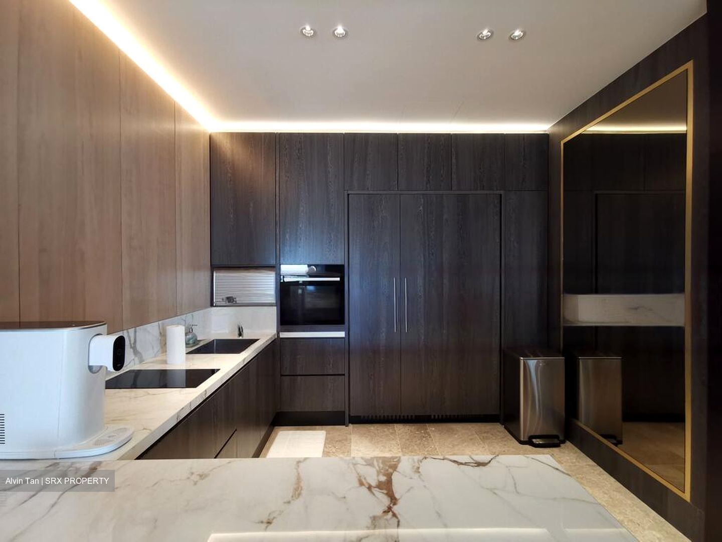 Frankel Estate (D15), Detached #467328341